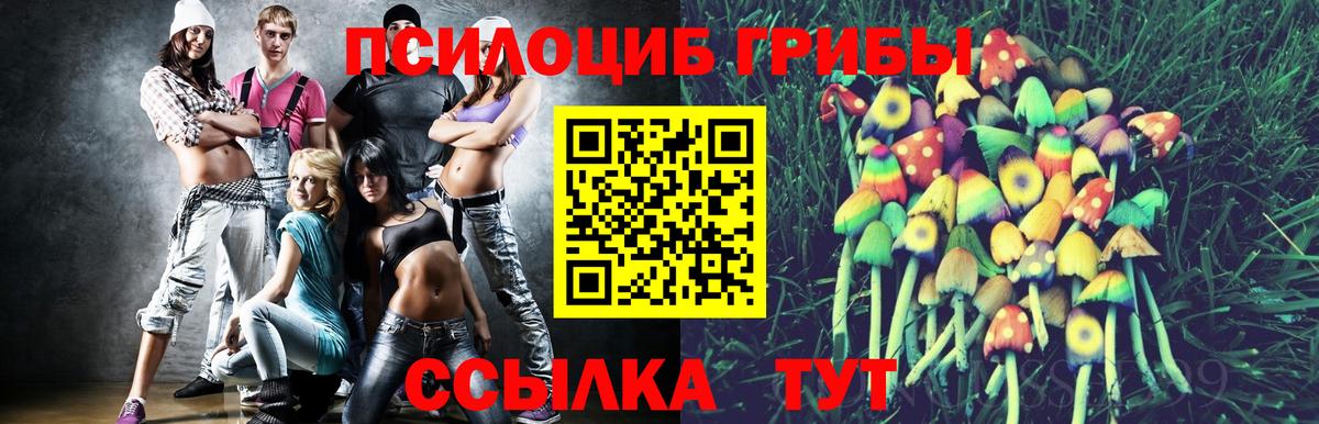 Ярославль  Псилоцибиновые грибы ЛСД  Вход с VPN 