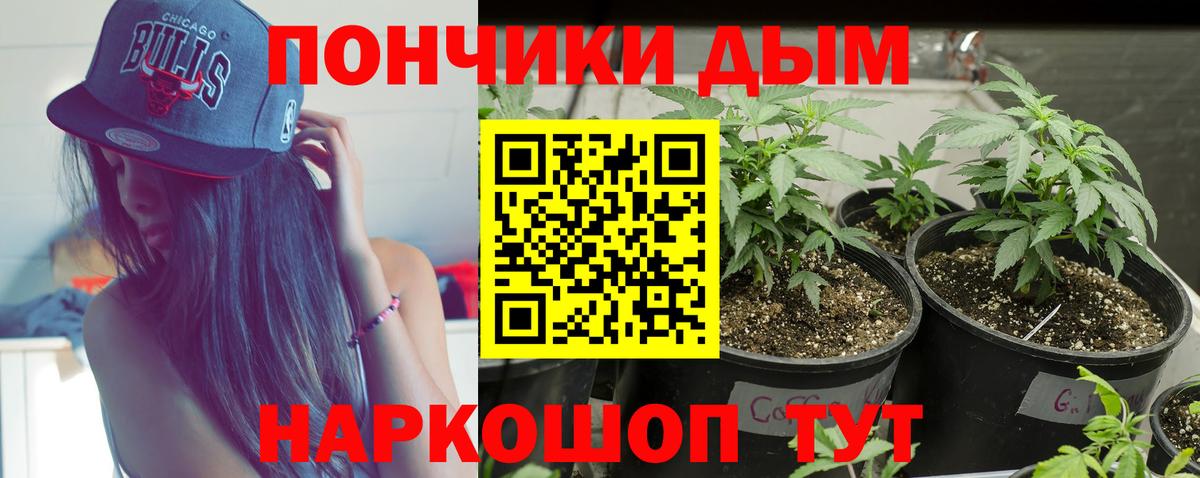 Ярославль  Конопля MAZAR  Вход с VPN  Шишки марихуана AK-47 